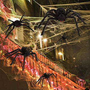 Belle's WindCoral Giant Spider Decor